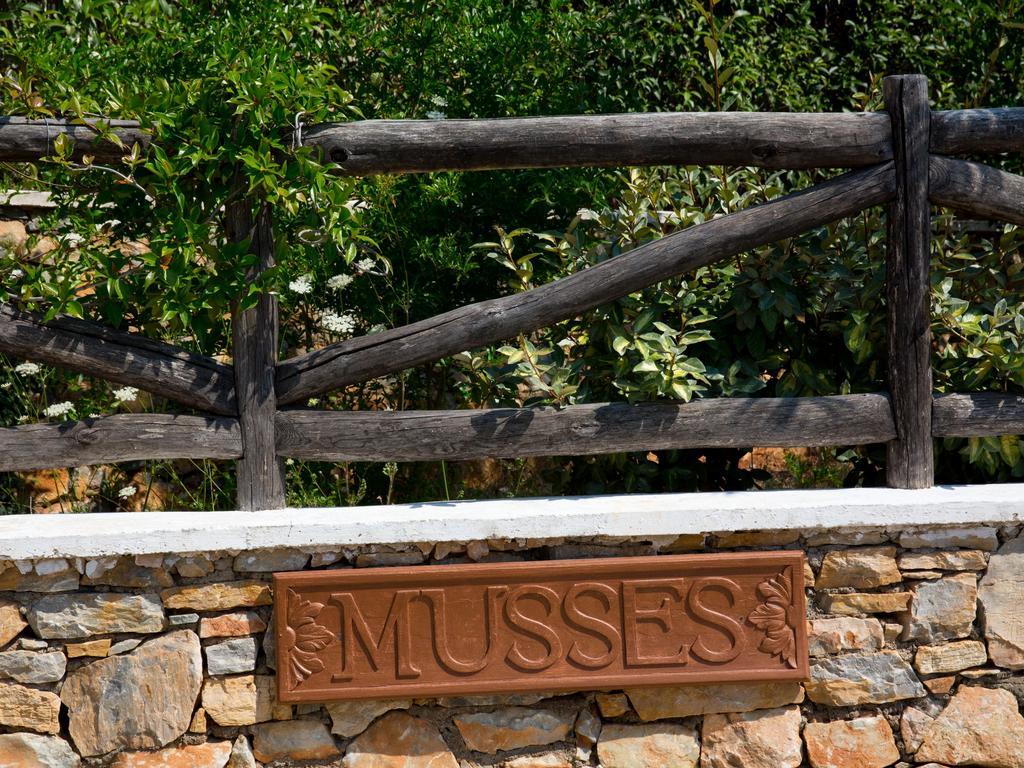 Alonissos Muses Villas Καλαμάκια Εξωτερικό φωτογραφία